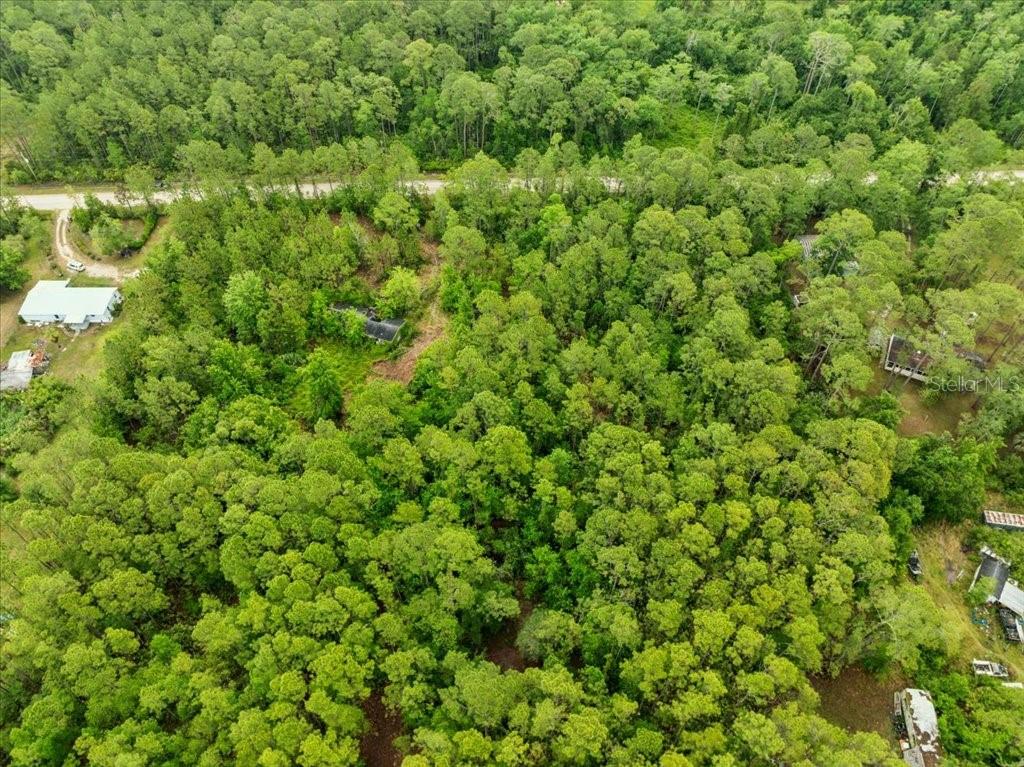 1756 Hazelnut Street Bunnell, FL 32110 - Photo 5 of 8