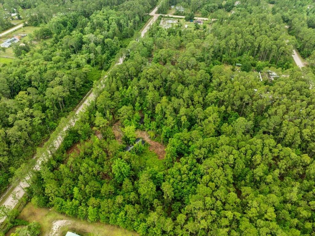 1756 Hazelnut Street Bunnell, FL 32110 - Photo 6 of 8