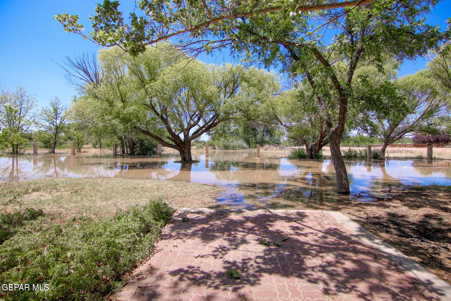 12309 Sugden Road Clint, TX 79836 - Photo 94 of 125 97