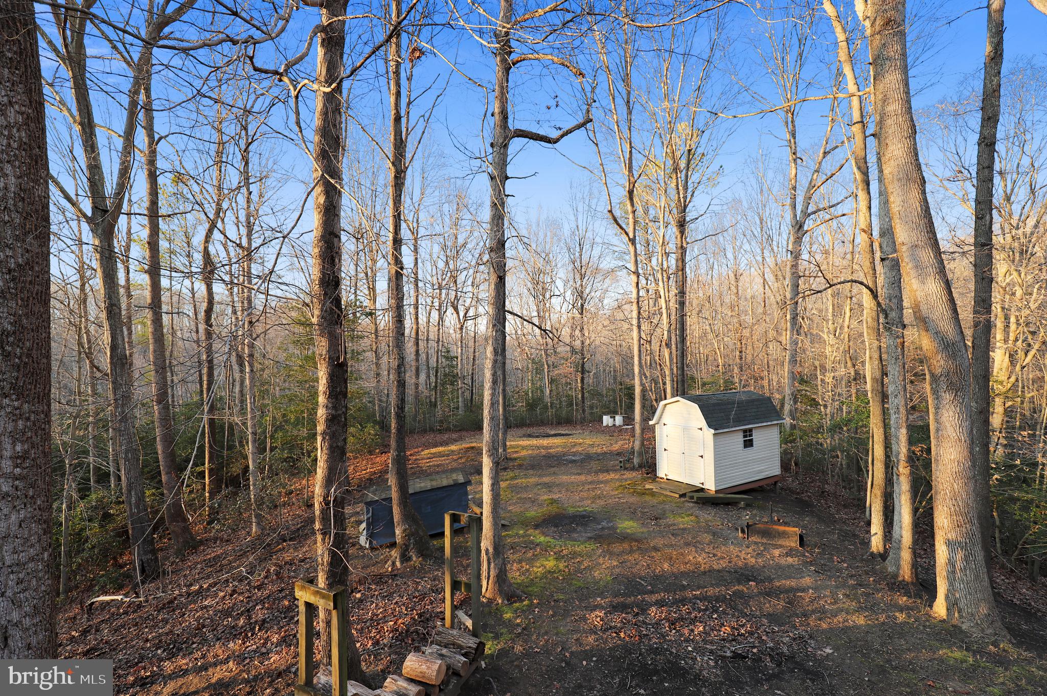 385 Ball Road St. Leonard, MD 20685 - Photo 22 of 52 Large Back/Side yard with Shed