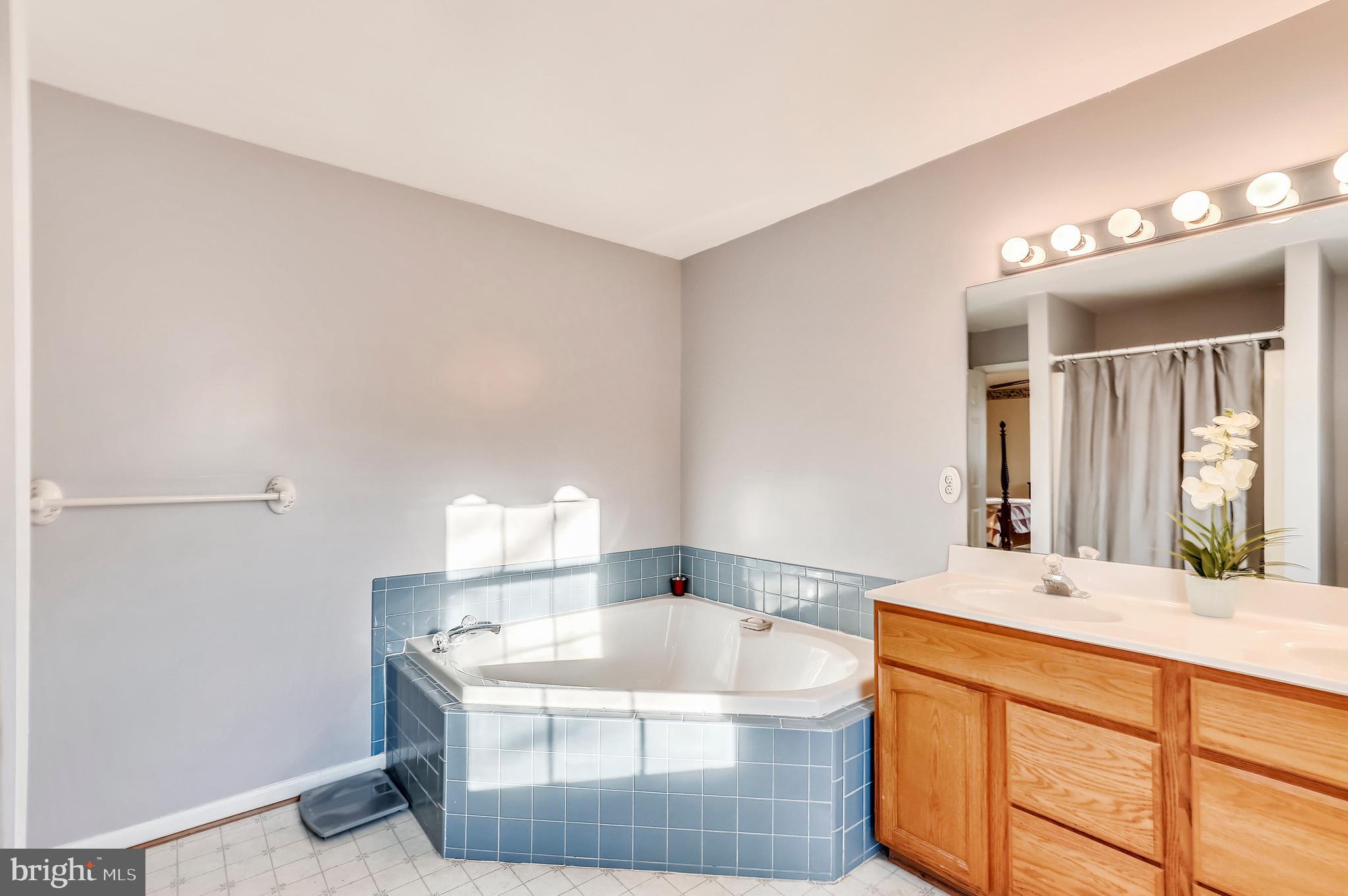 385 Ball Road St. Leonard, MD 20685 - Photo 35 of 52 Large Master Bathroom