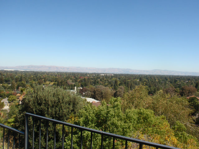 471 Border Hill Road Los Altos, CA 94024 - Photo 14 of 25 Gallery Image 14
