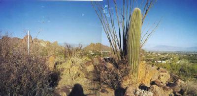 4140 West Capistrano Road Tucson, AZ 85746 - Photo 1 of 1