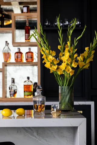 $2,499,000 | 23314 Vista De Tres Lagos Drive, Spring, TX 77389