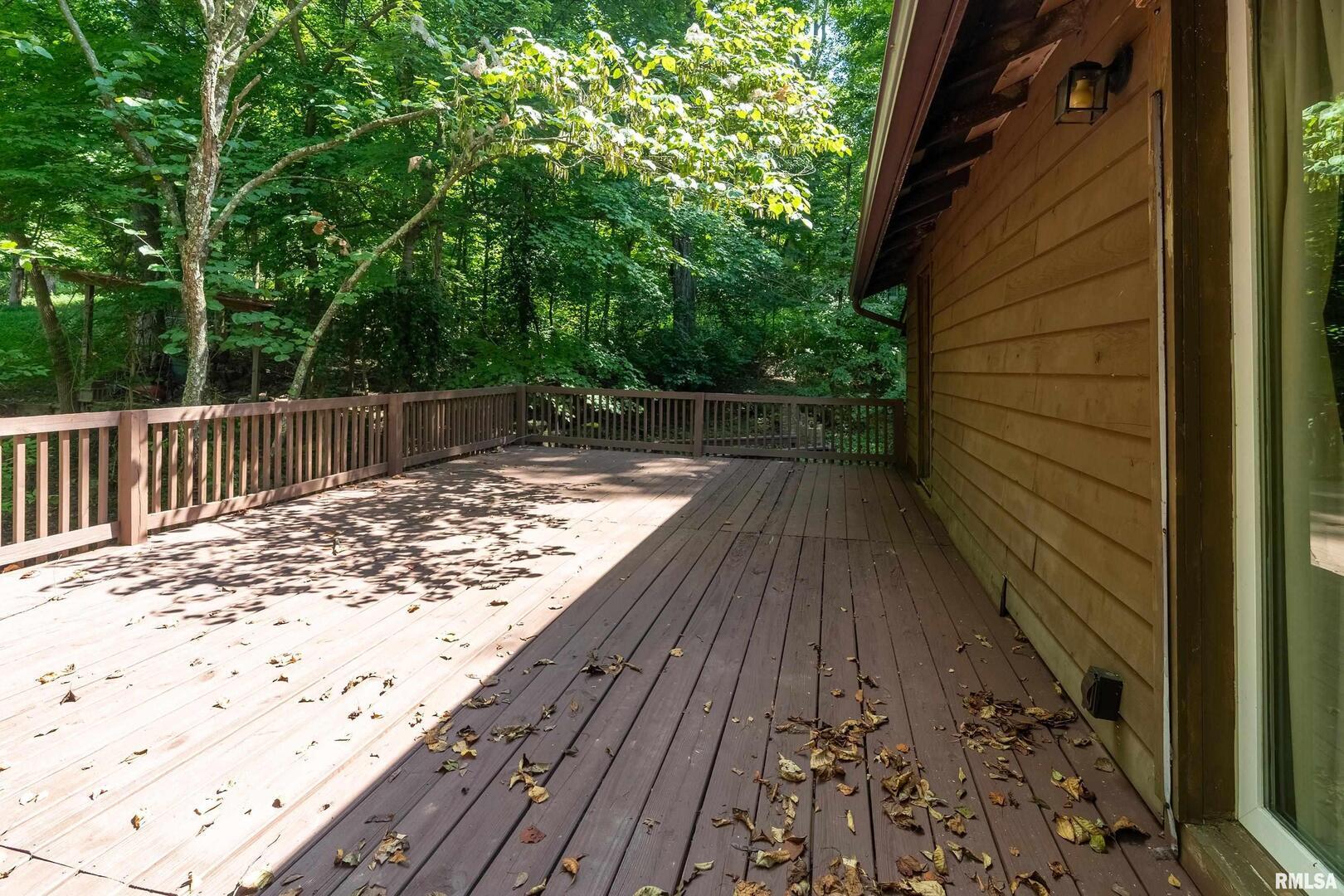270 Contentment Road Makanda, IL 62958 - Photo 34 of 56