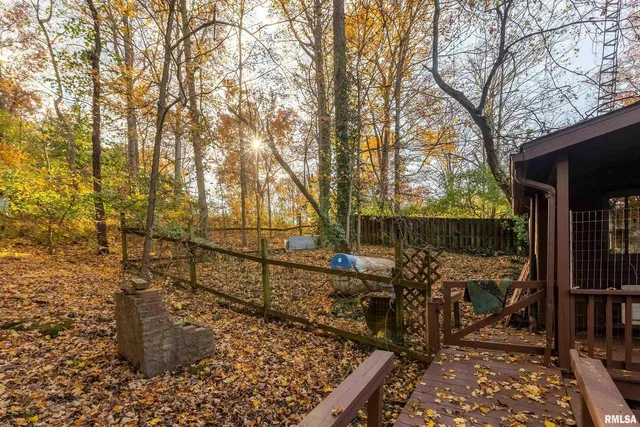 a close up of a tree in a garden