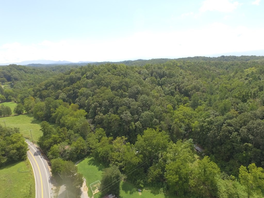 1549 Douglas Dam Road Sevierville, TN 37876 - Photo 19 of 30