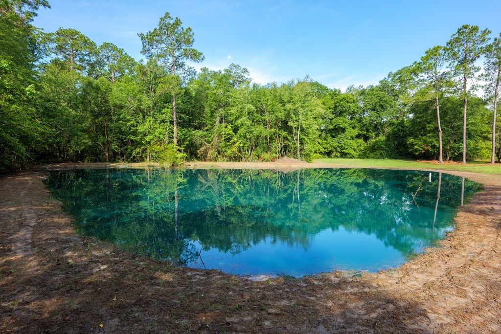 3545 Old State Road Valdosta, GA 31606 - Photo 47 of 49 Gallery Image 47
