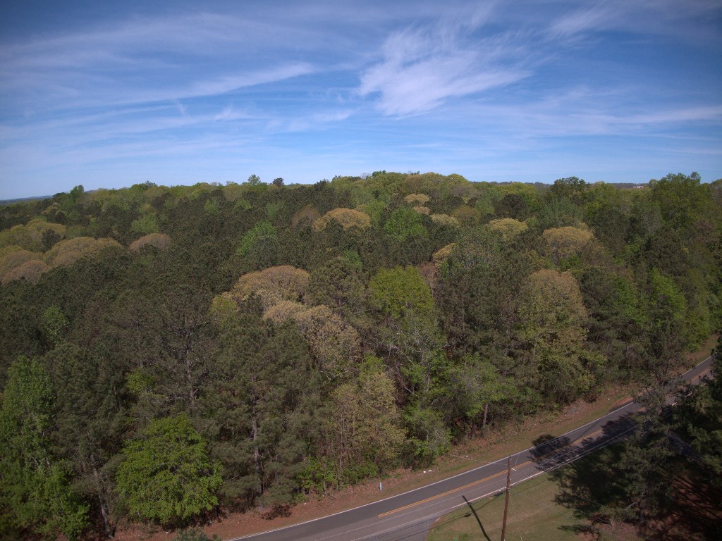 Lot 10 Chestnut Grove Road Shiloh, GA 31826 - Photo 16 of 17 Gallery Image 16