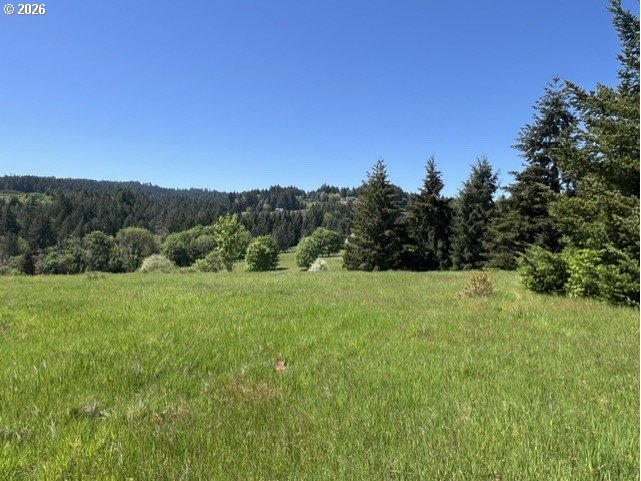 32784 Southwest Laurelview Road Hillsboro, OR 97123 - Photo 21 of 43