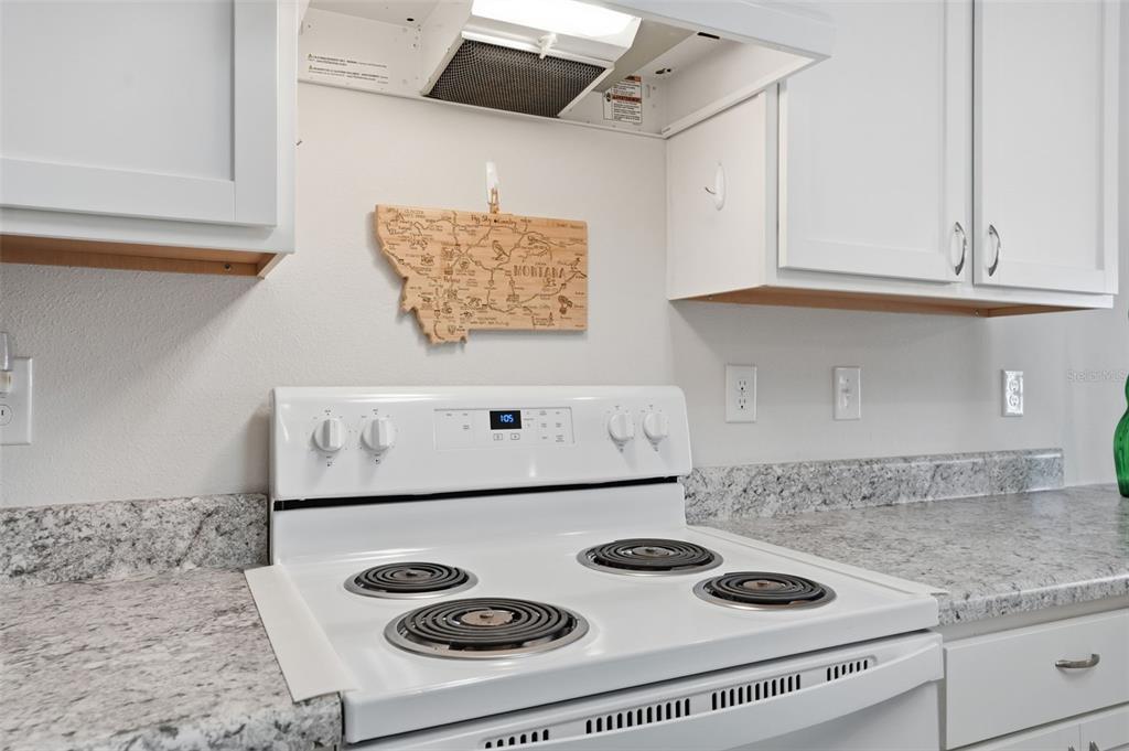 3332 Lambert Avenue Spring Hill, FL 34608 - Photo 14 of 49