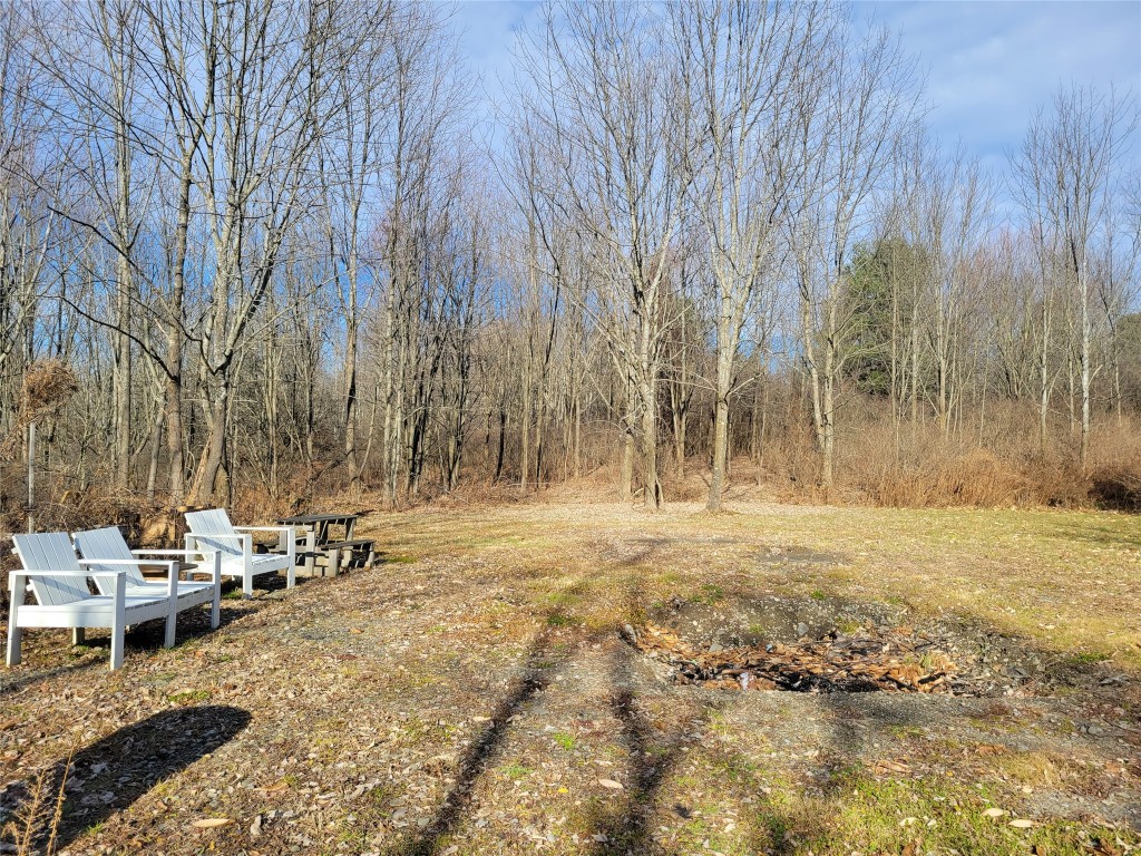 319 Twist Run Road Endicott, NY 13760 - Photo 48 of 50 Gallery Image 48