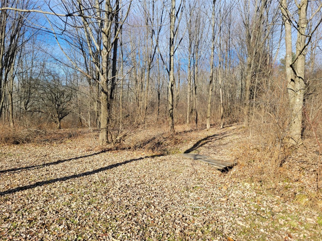 319 Twist Run Road Endicott, NY 13760 - Photo 49 of 50 Gallery Image 49