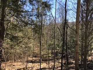 421 Hargrave Road Windsor, NY 13865 - Photo 1 of 5
