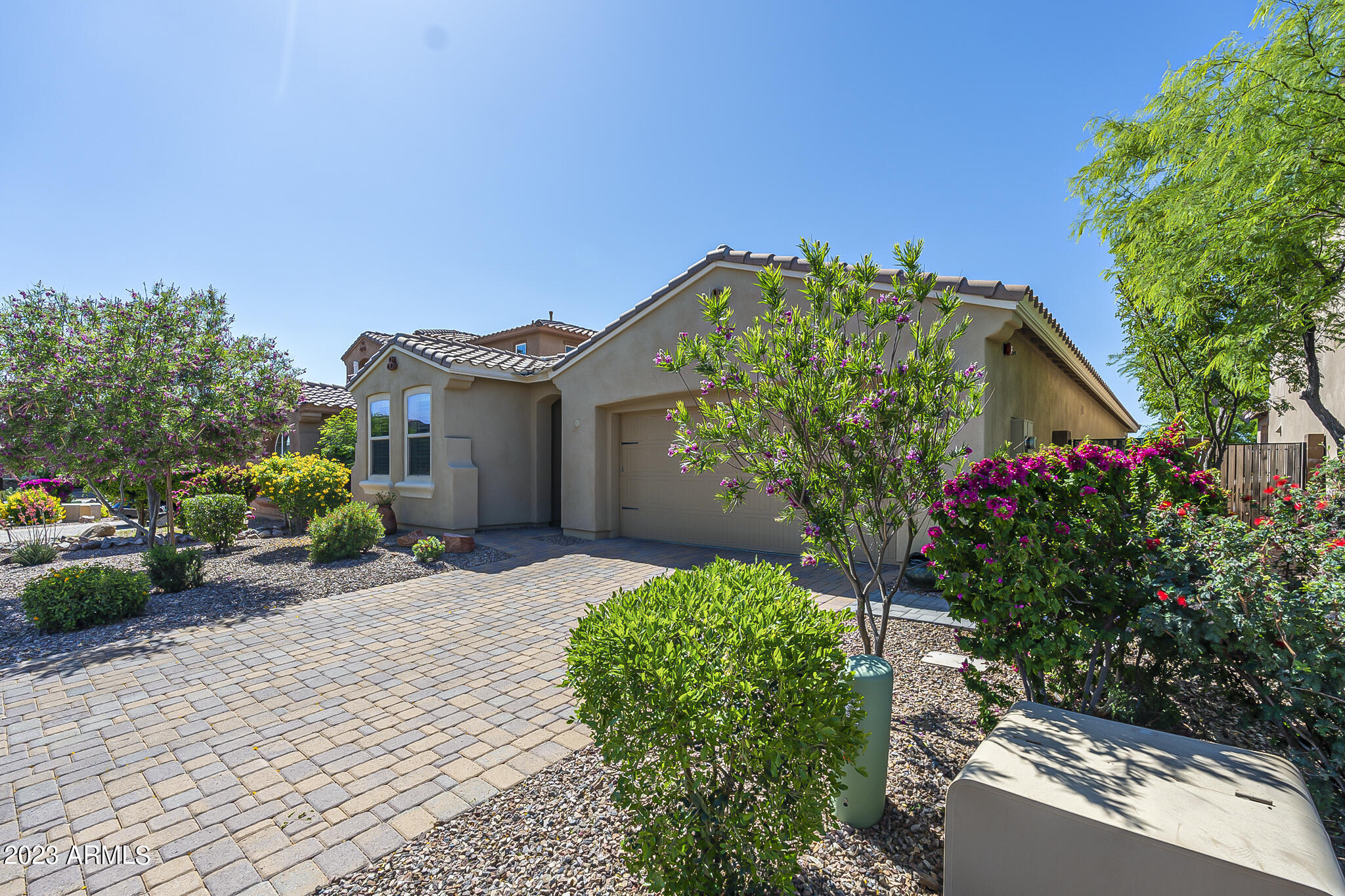 13719 West Linanthus Road Peoria, AZ 85383 - Photo 11 of 38 a front view of a house with a yard and potted plants