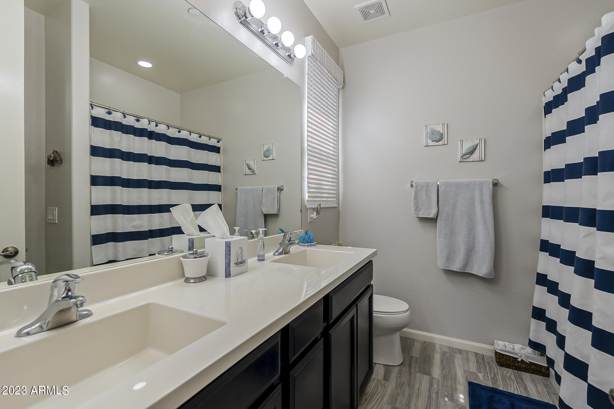 13719 West Linanthus Road Peoria, AZ 85383 - Photo 24 of 38 a bathroom with a sink a toilet a shower and a mirror