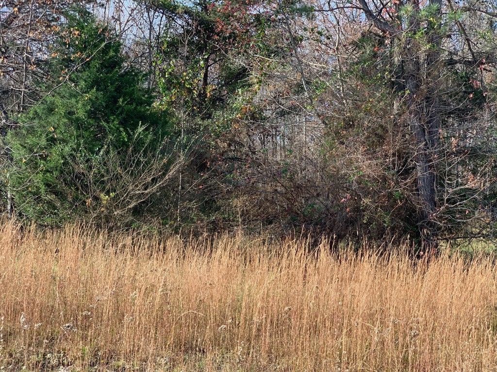 0 Vista Valley Road, Unit 31 New Canton, VA 23123 - Photo 24 of 25 Gallery Image 24