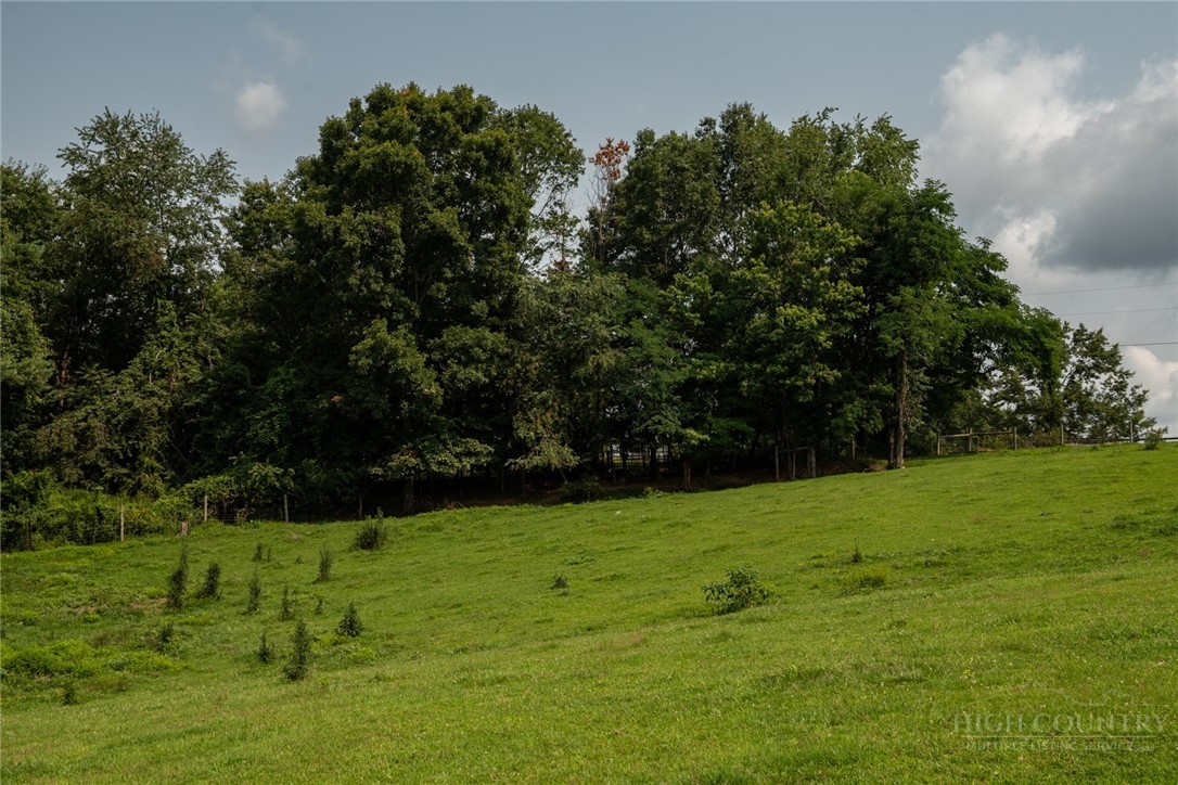 Caudill Road Glade Valley, NC 28627 - Photo 12 of 19 Gallery Image 12