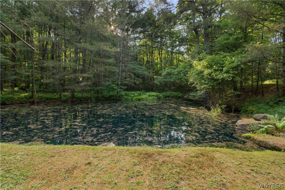9173 Lyman Road Clarksville, NY 14727 - Photo 47 of 48 Pond