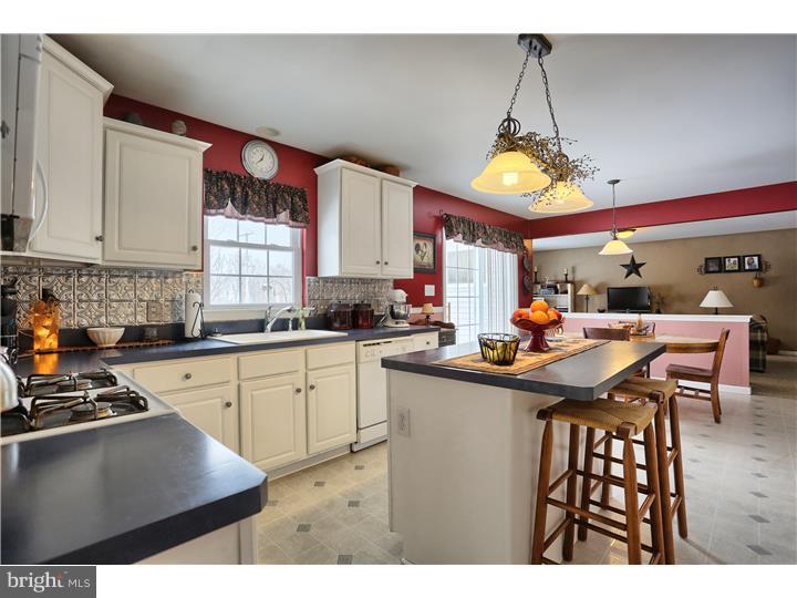 1108 Rhodora Avenue Reading, PA 19605 - Photo 8 of 25 Kitchen