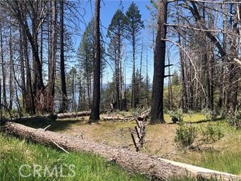7097 High Valley Road Clearlake Oaks, CA 95423 - Photo 2 of 4 a view of outdoor space with trees