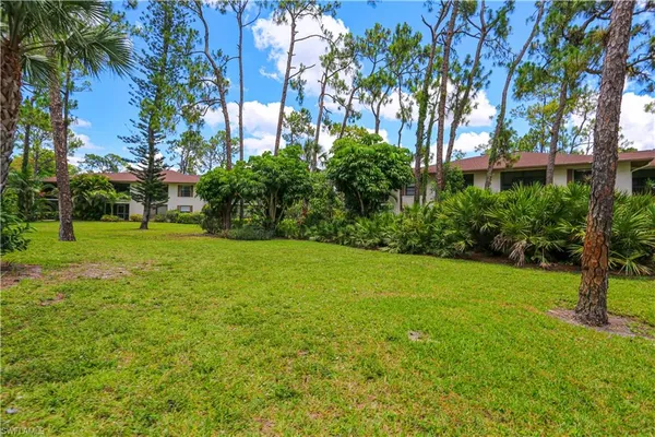 a view of a yard with a tree