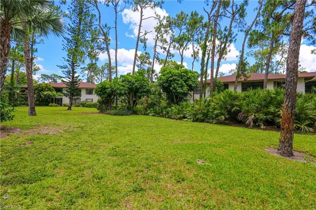 a view of a yard with a tree