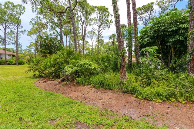 a view of a yard with plants and large trees