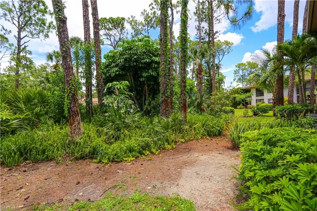 a view of a garden with plants