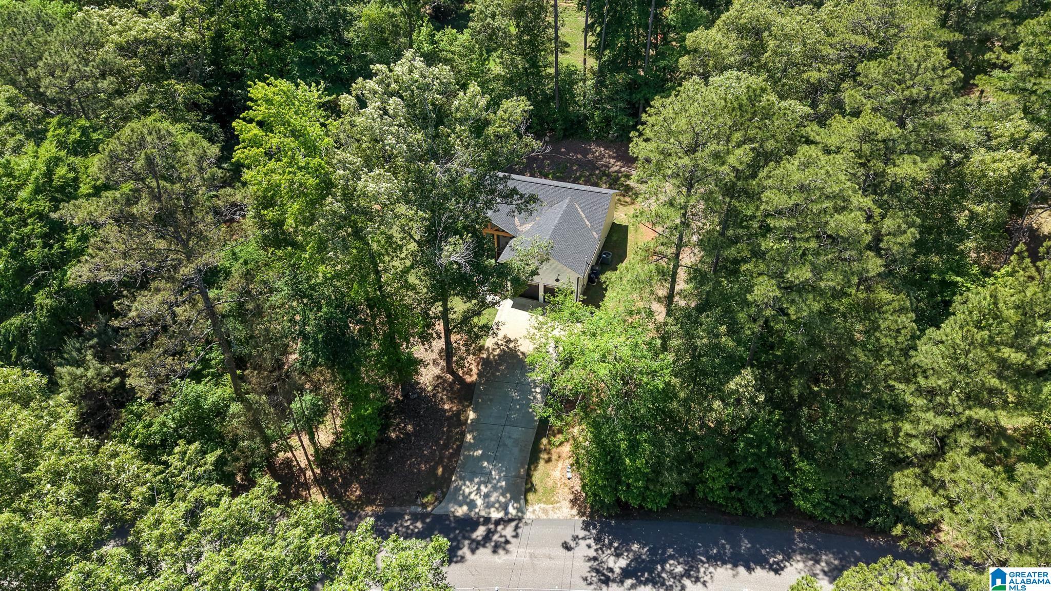 885 Lock 4 Road Riverside, AL 35135 - Photo 51 of 68