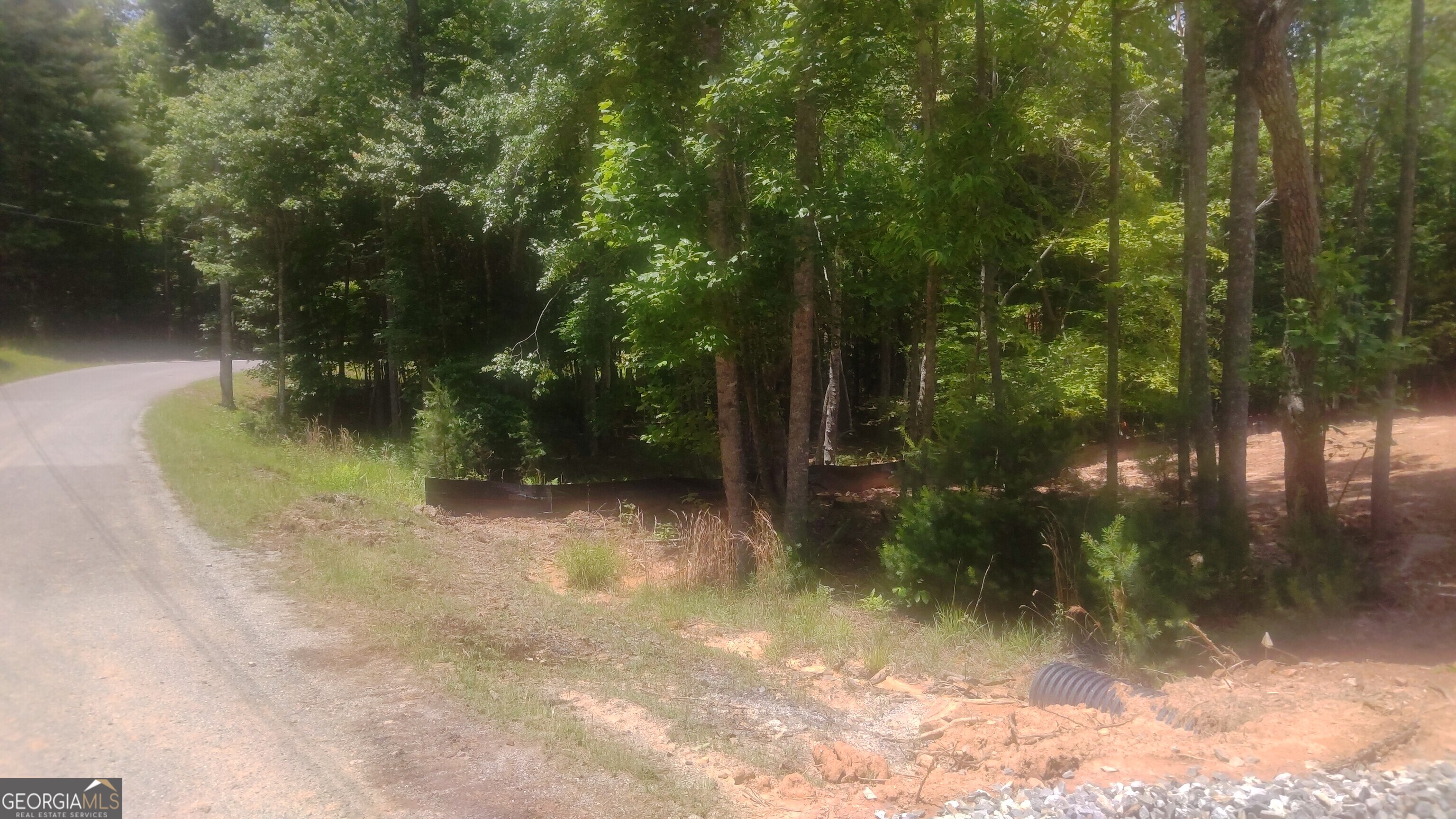 10 Hawks Nest Road, Unit 10 Blairsville, GA 30512 - Photo 26 of 32 a view of a tree in a yard