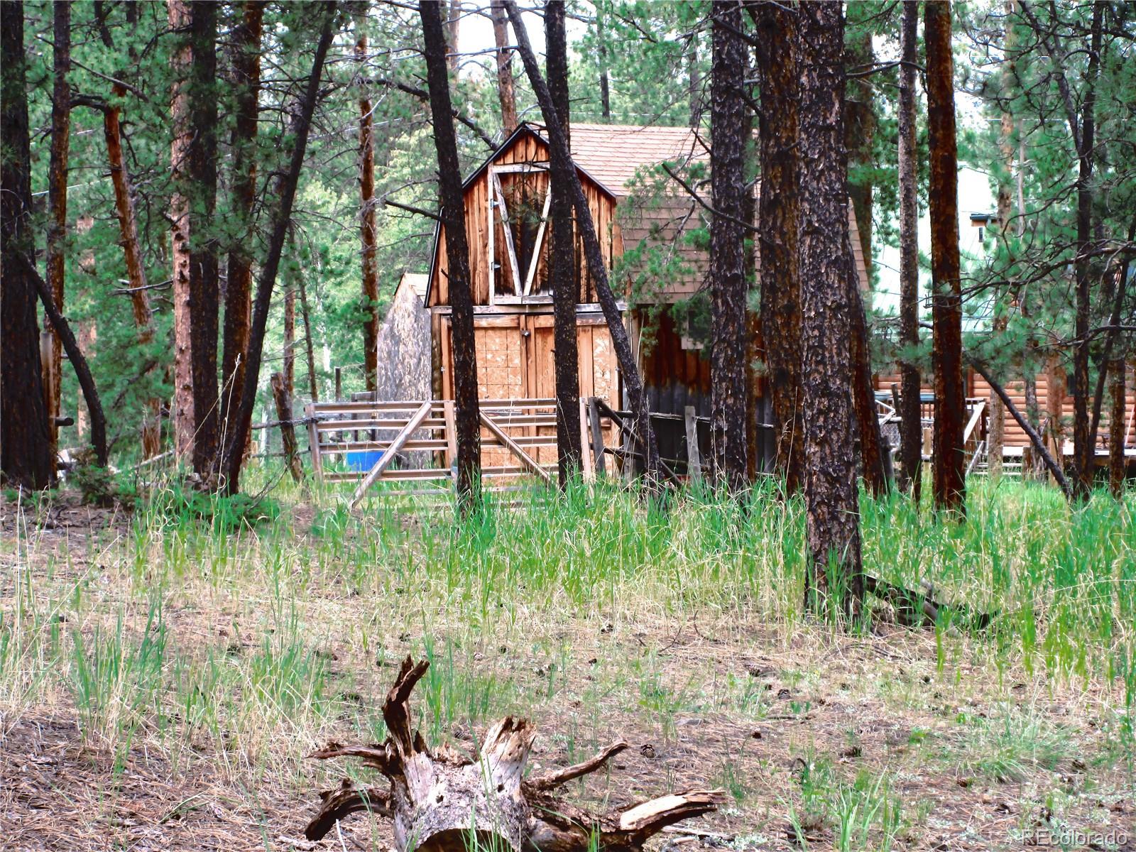 162 County Road 114 Bailey, CO 80421 - Photo 11 of 13