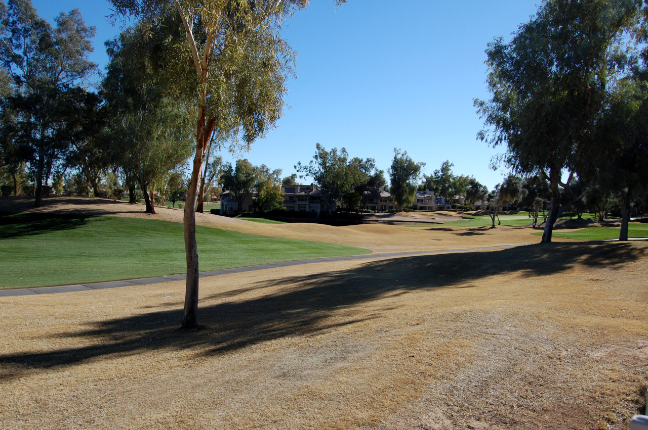 7323 East Gainey Ranch Road, Unit 9 Scottsdale, AZ 85258 - Photo 16 of 16 GOLF VIEWS FROM PATIO