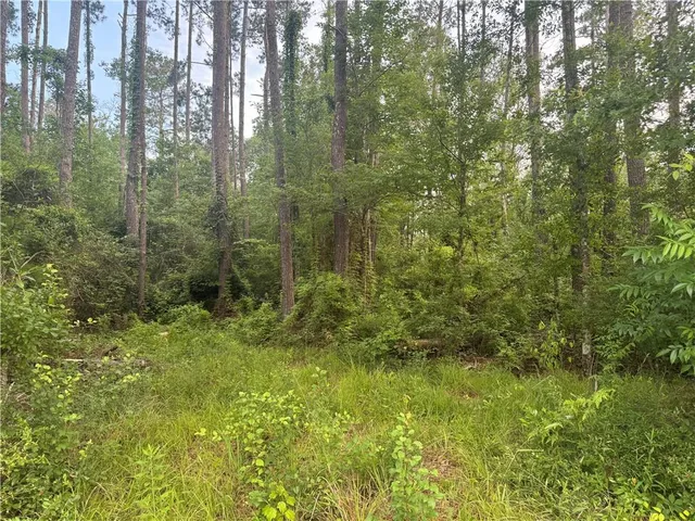 $115,000 | 0 Russell Town Road, Roseland, LA 70456