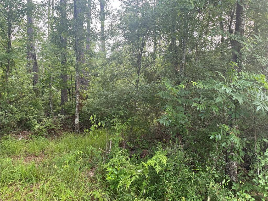 0 Russell Town Road Roseland, LA 70456 - Photo 3 of 5