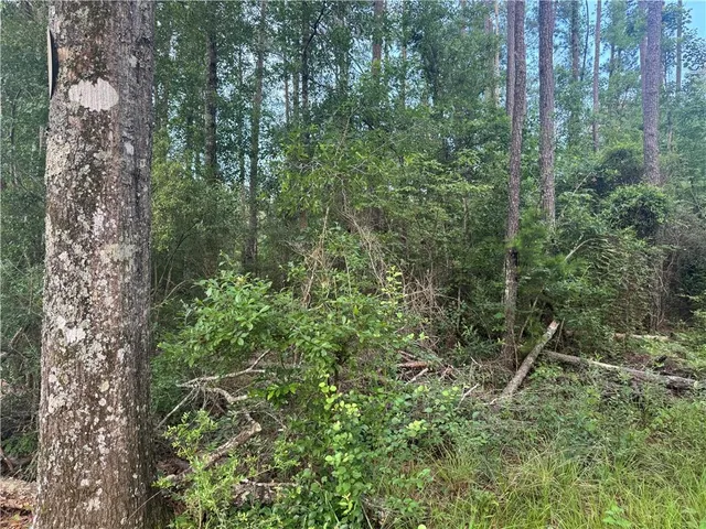 $115,000 | 0 Russell Town Road, Roseland, LA 70456