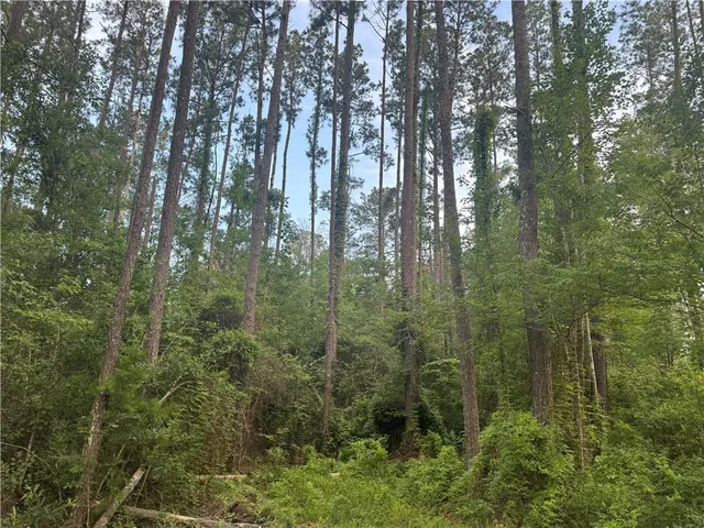 $115,000 | 0 Russell Town Road, Roseland, LA 70456