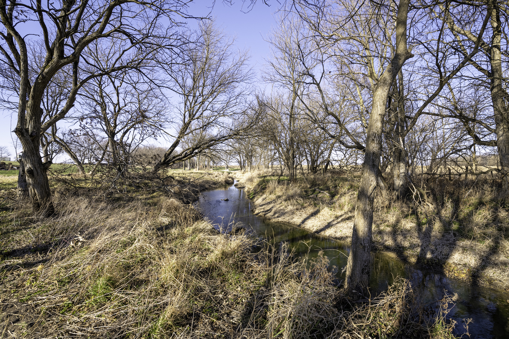 6 West Greer Road Verona, IL 60479 - Photo 9 of 12 a backyard of a house with lots of green space