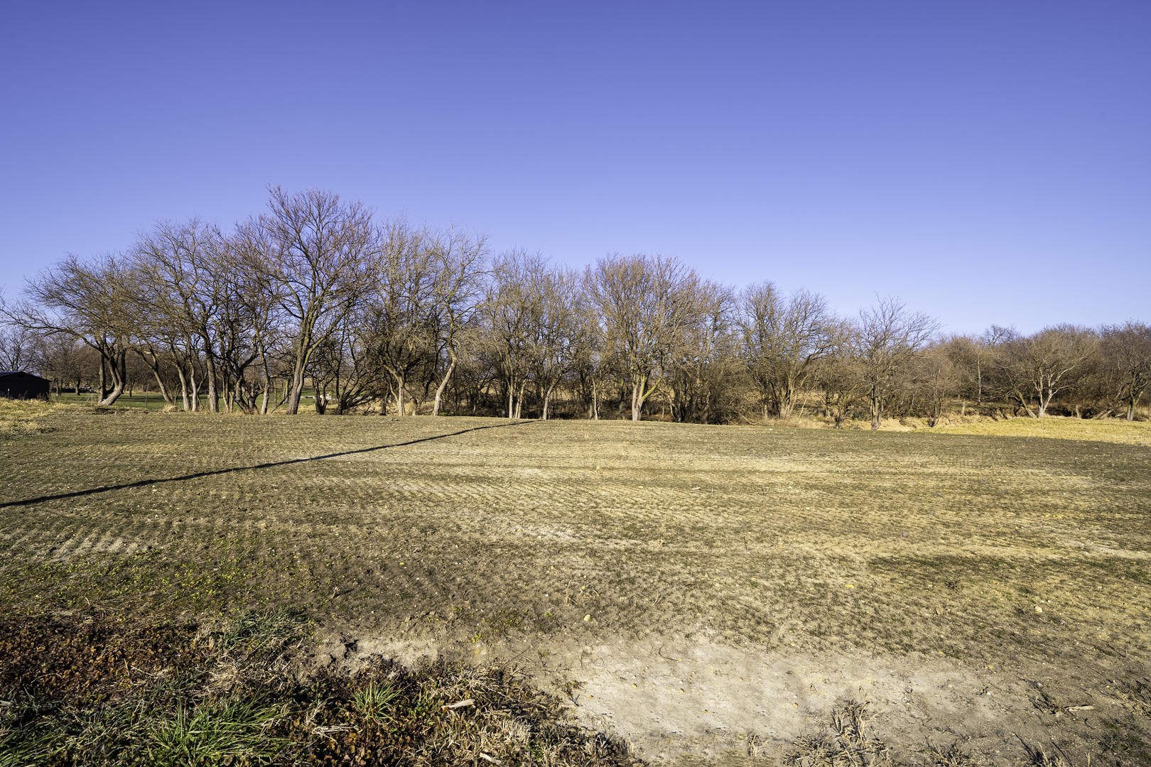 6 West Greer Road Verona, IL 60479 - Photo 10 of 12 a view of lake with a big yard