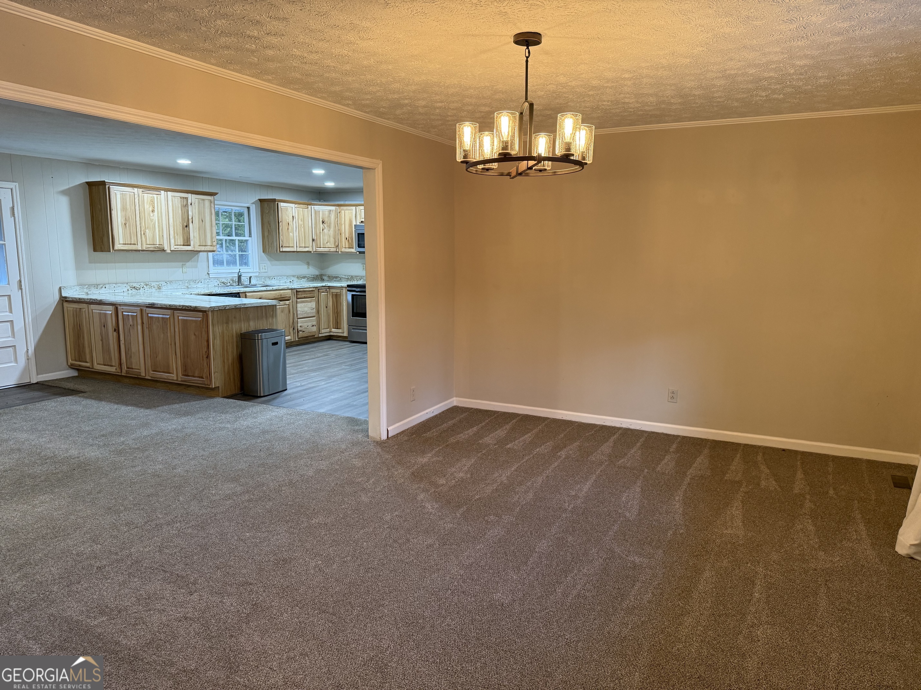 341 Sanders-Davis Road Newnan, GA 30263 - Photo 3 of 15