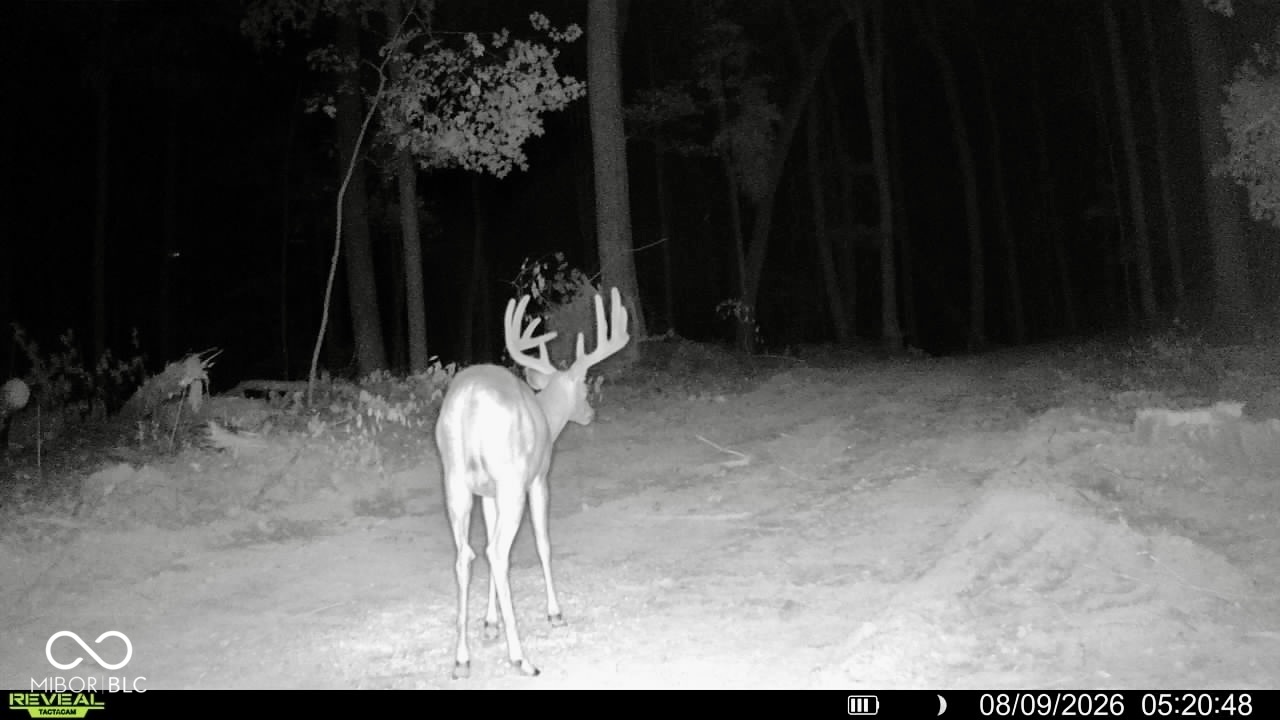 9830 Low Gap Road Martinsville, IN 46151 - Photo 84 of 192 Gallery Image 84