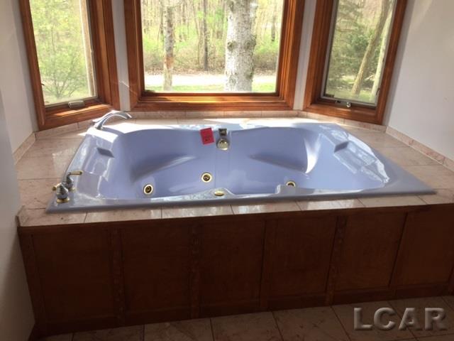 8386 Secor Road Lambertville, MI 48144 - Photo 24 of 26 31291273-23.JPG