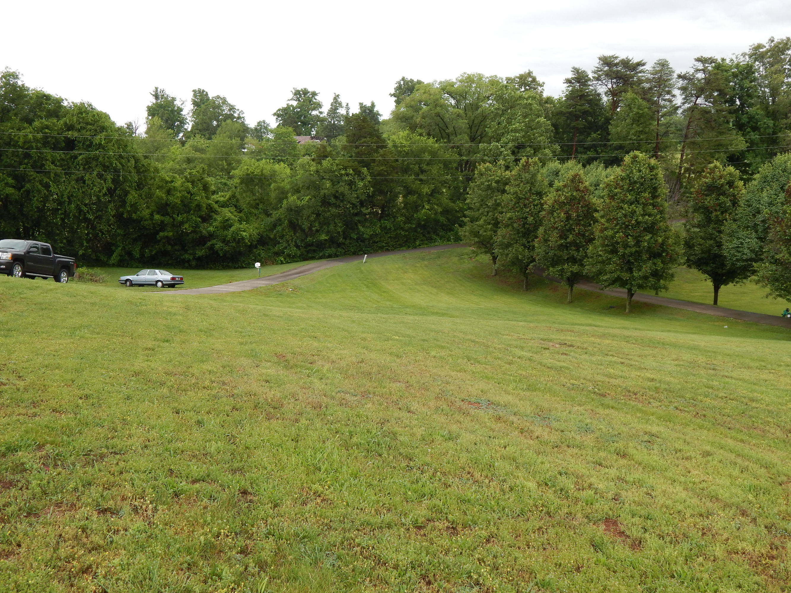 1457 Lambert Road Greenback, TN 37742 - Photo 4 of 28 DSCN0083