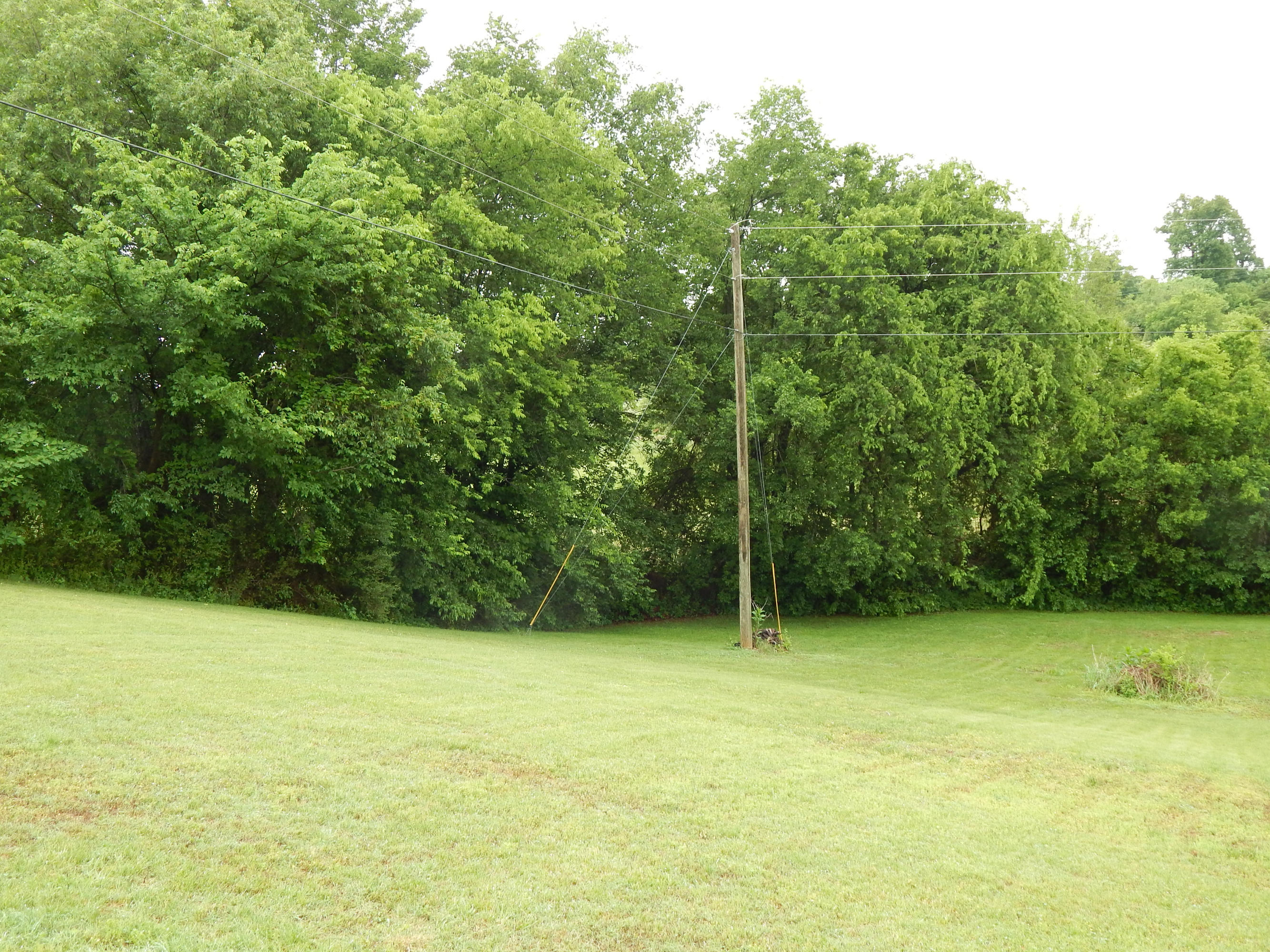 1457 Lambert Road Greenback, TN 37742 - Photo 7 of 28 DSCN0086