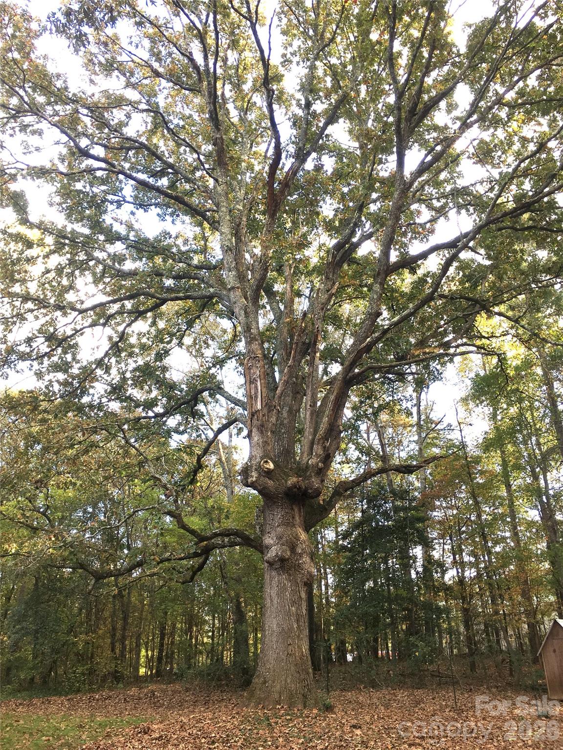 482 Windy Hill Lane Lancaster, SC 29720 - Photo 34 of 48