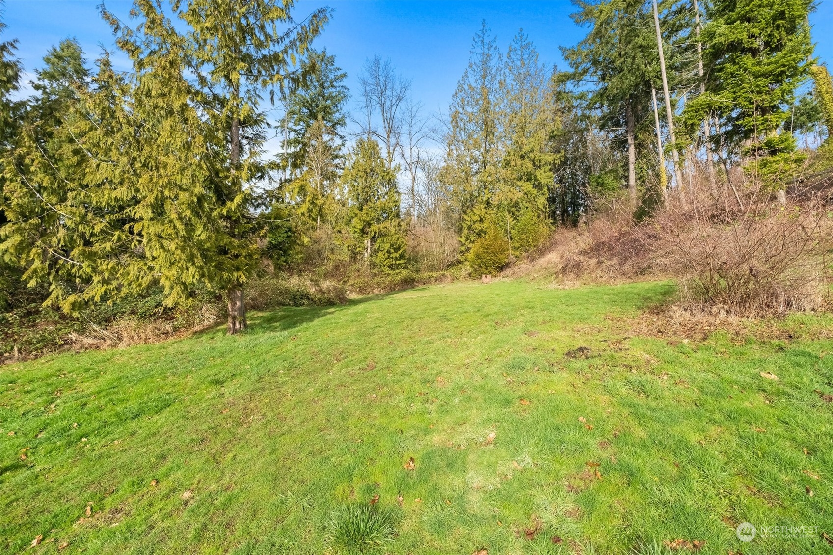 137 Wallace Road Chehalis, WA 98532 - Photo 27 of 39 a view of yard with green space