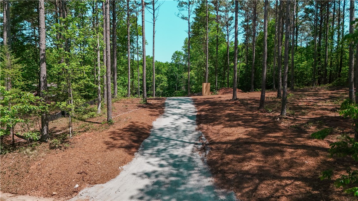 300 Crooked Rock Lane Sunset, SC 29685 - Photo 4 of 10