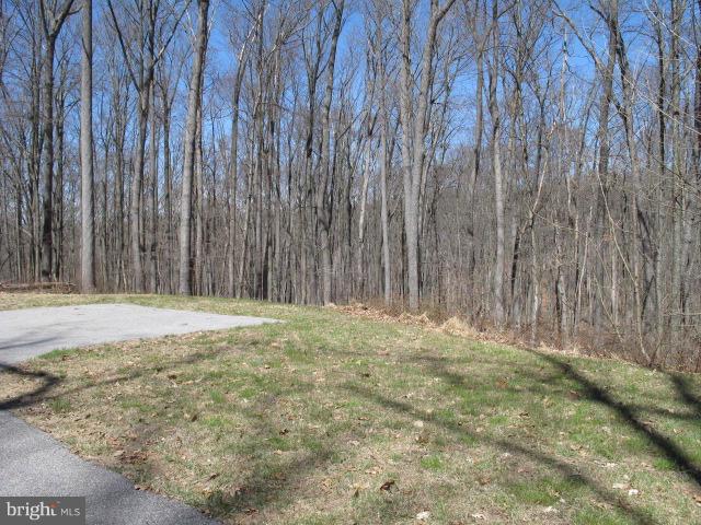17164 Wesley Chapel Road Monkton, MD 21111 - Photo 8 of 12 Exterior (General)