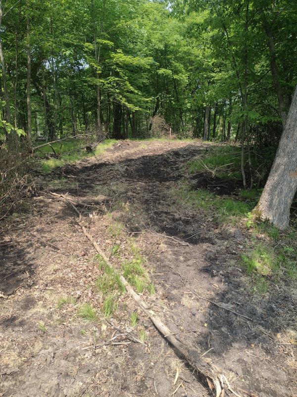 Lot 5-block Crystal Beach Road Pelican Rapids, MN 56572 - Photo 4 of 6