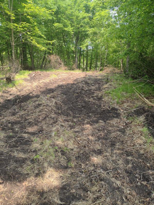 Lot 5-block Crystal Beach Road Pelican Rapids, MN 56572 - Photo 5 of 6